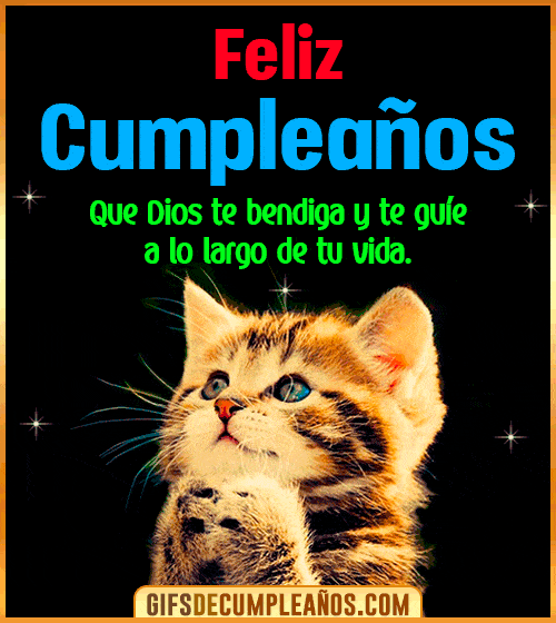feliz cumpleanos gif gato
