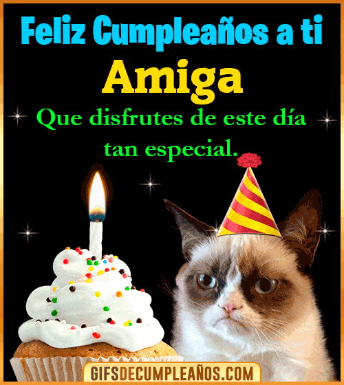 meme gato feliz cumpleanos amiga